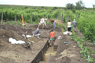 Vinice msk vrch - archeologick przkum pod st vinice